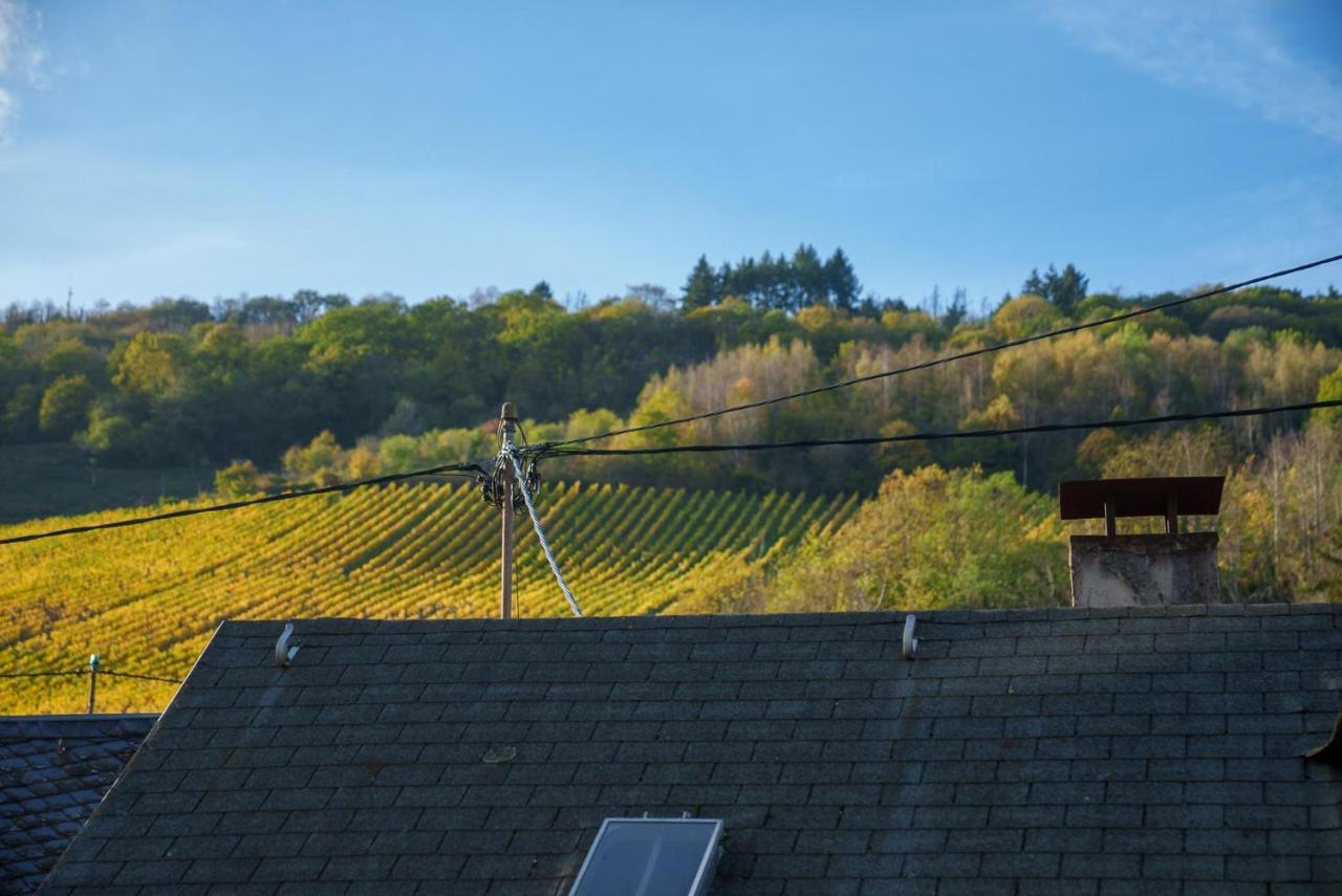 Gruenberg House Apartman Traben-Trarbach Kültér fotó